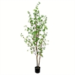 Vickerman 84