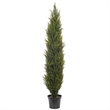 Vickerman 7' Plastic Artificial UV Resistant Pond Cypress Tree with Pot in Green