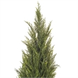 Vickerman 7' Plastic Artificial UV Resistant Pond Cypress Tree with Pot in Green