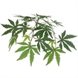 Vickerman 4' Artificial Japanese Maple Bush with Black Plastic Pot in Green