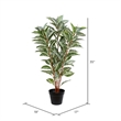 Vickerman 35