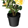 Vickerman 21