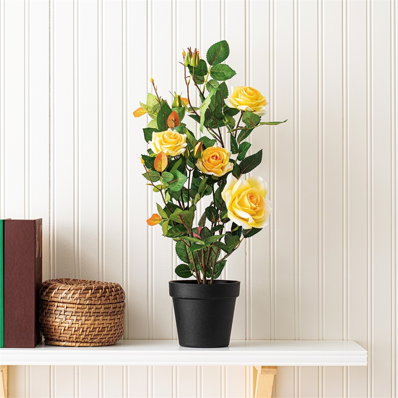 Vickerman 21