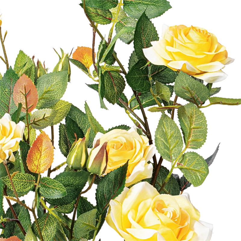 Vickerman 21