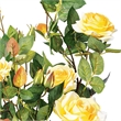 Vickerman 21