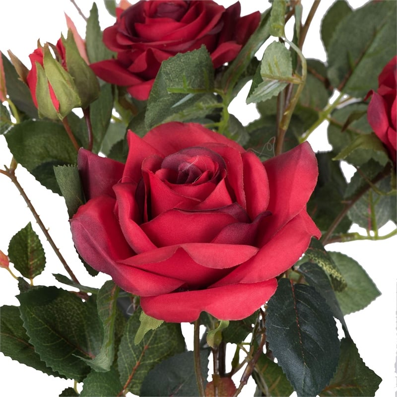 Vickerman 21