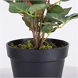 Vickerman 21