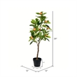 Vickerman 29