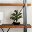 Vickerman 12