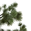 Vickerman 12