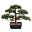 Vickerman 10