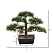 Vickerman 10