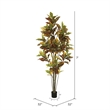 Vickerman 7' Potted Artificial Green and Orange Croton Tree