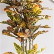 Vickerman 7' Potted Artificial Green and Orange Croton Tree