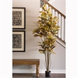 Vickerman 7' Potted Artificial Green and Orange Croton Tree