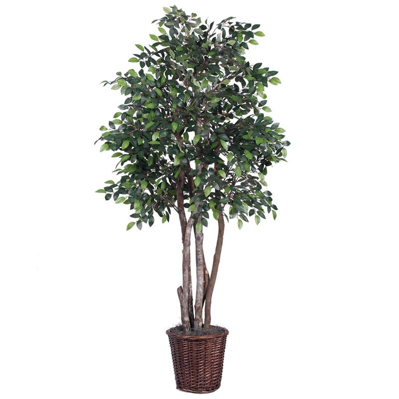 Vickerman 6' Artificial Mini Ficus Executive Tree with Rattan Basket in Green