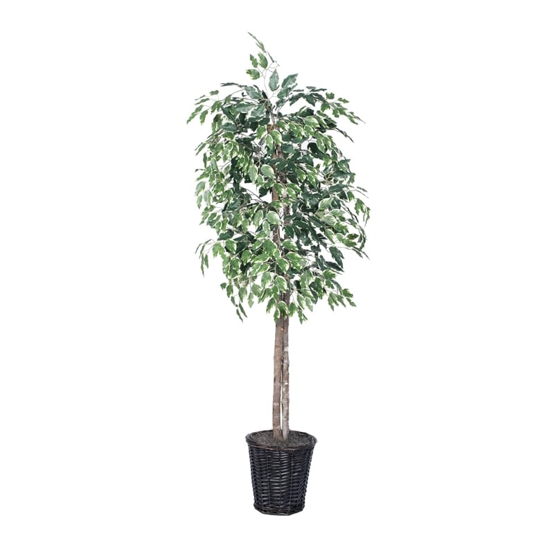 Vickerman 6' Artificial Variegated Ficus Tree with Rattan Basket in Green/White