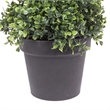 Vickerman 6' Plastic Artificial Potted Boxwood Spiral Tree in Green