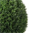 Vickerman 24
