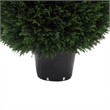 Vickerman 24