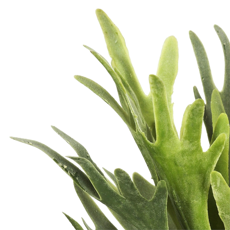 Vickerman 13