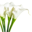 Vickerman 14'' Contemporary Fabric Artificial Calla Lily Bundle in White