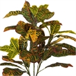 Vickerman 34