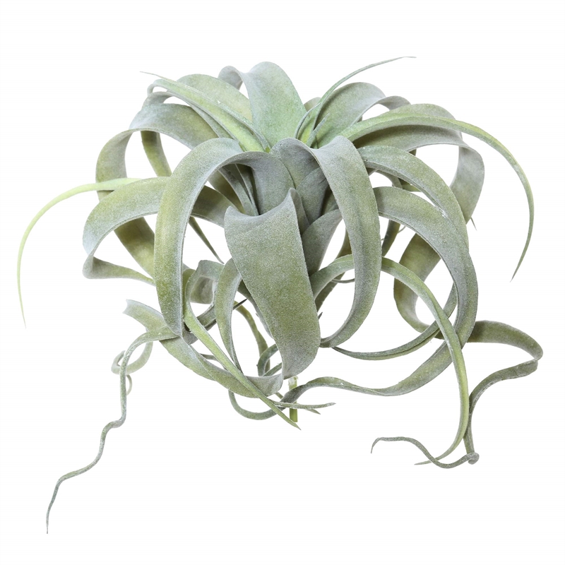 Vickerman 10.5