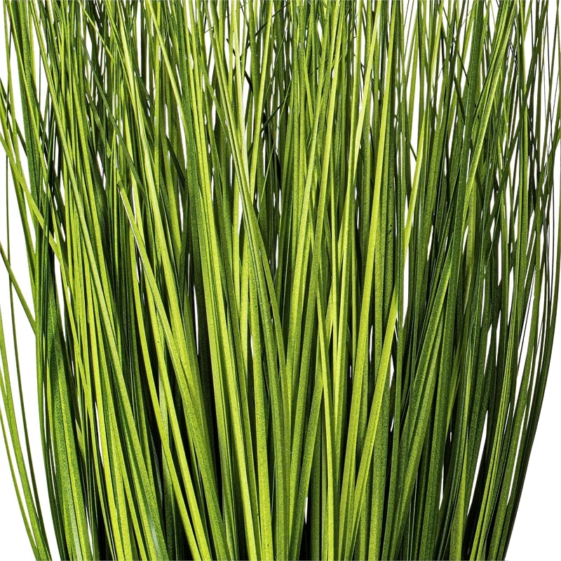 Vickerman 11.5
