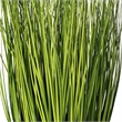 Vickerman 11.5