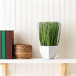 Vickerman 11.5