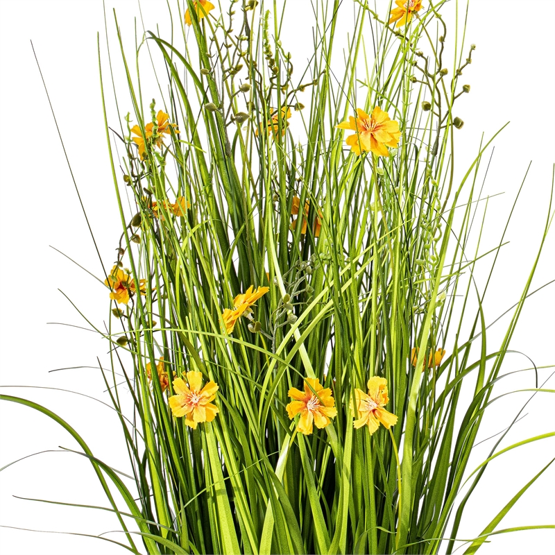 Vickerman 31