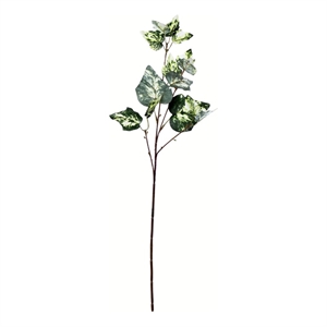 Vickerman 24&quot Fabric Artificial Variegated Ivy Spray in Green (Set of 6)