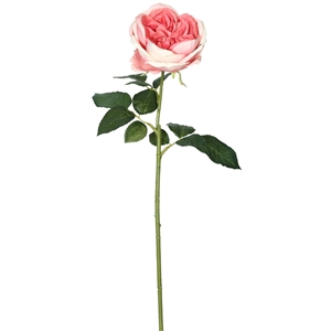Vickerman 25&quot Fabric Artificial Open Rose Stem in Dark Pink (Set of 6)