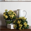 Vickerman 15
