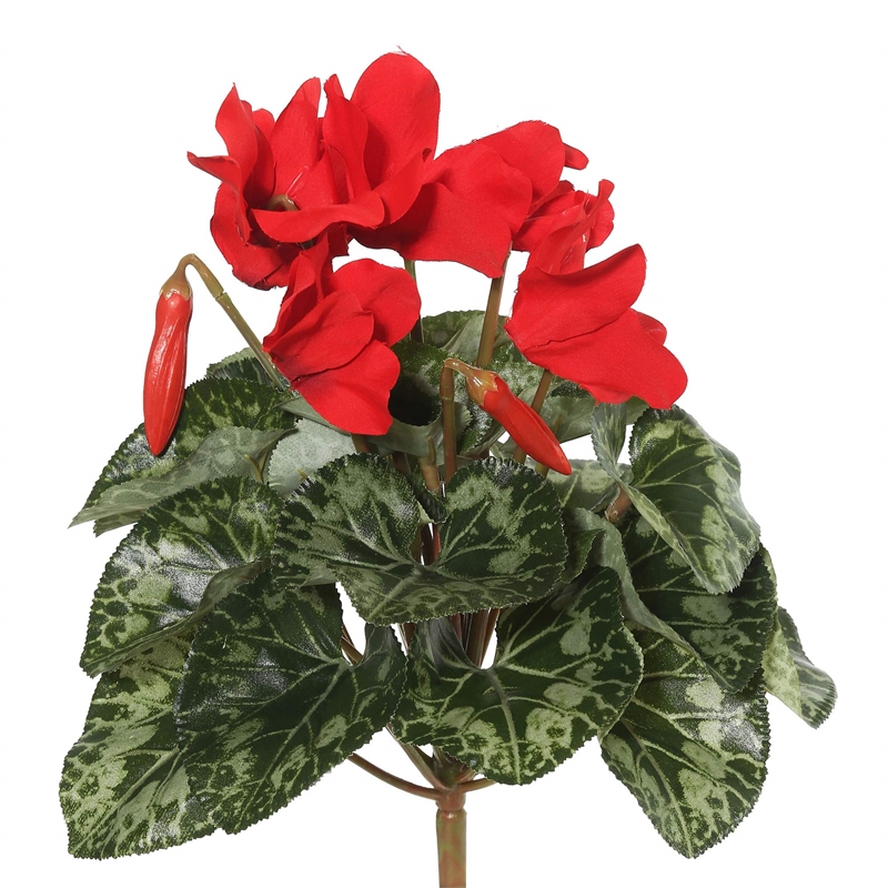 Vickerman 11