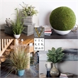 Vickerman 39
