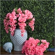 Vickerman 19
