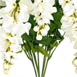 Vickerman 19