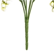 Vickerman 19