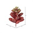 Vickerman 4