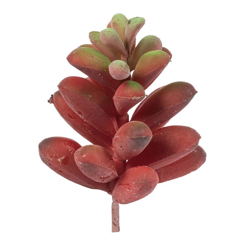 Vickerman 4