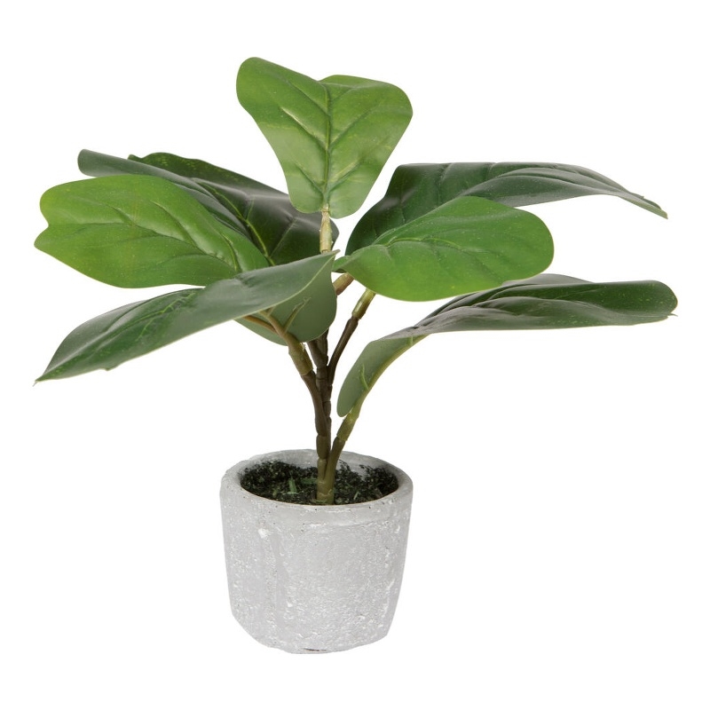 Vickerman 11