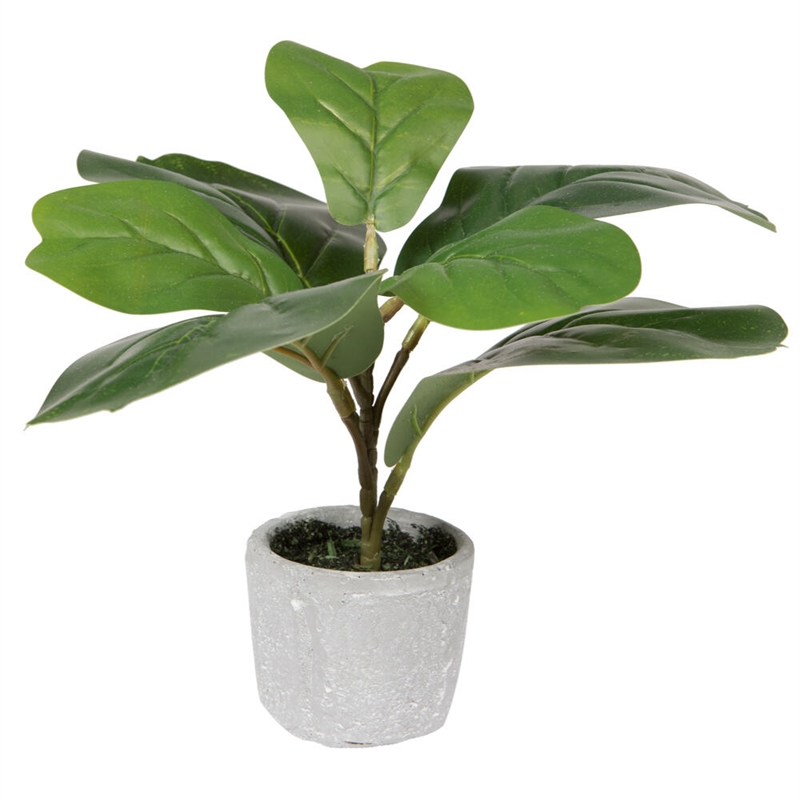 Vickerman 11