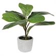 Vickerman 11
