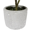 Vickerman 11