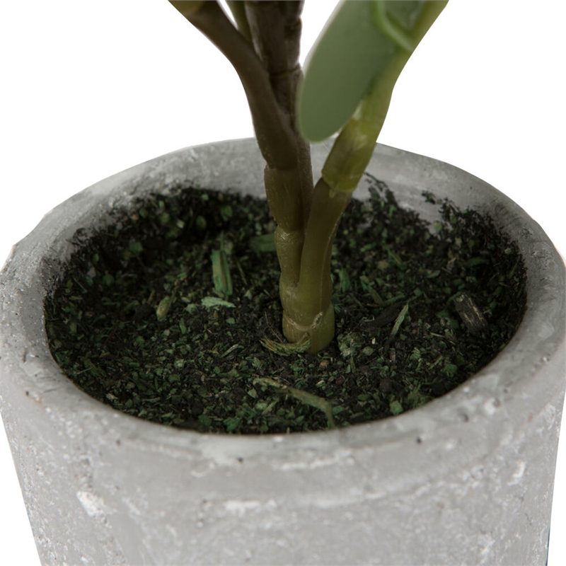 Vickerman 11