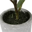 Vickerman 11