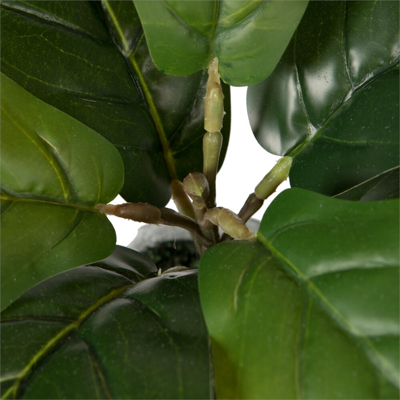 Vickerman 11