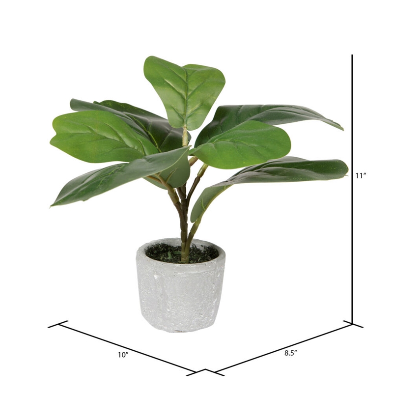 Vickerman 11